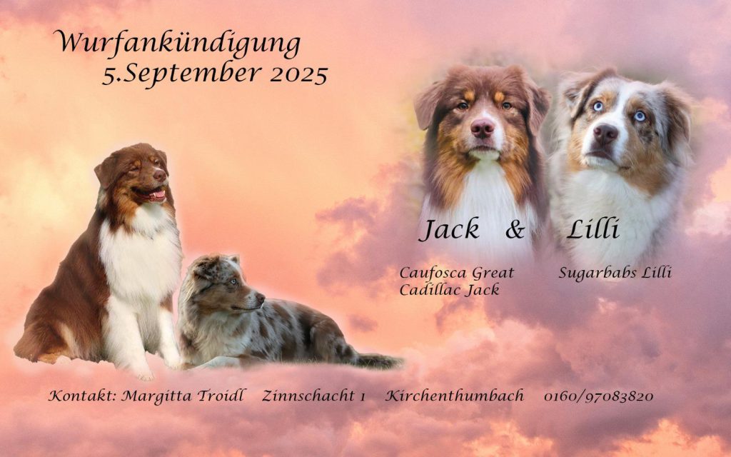 Wurfankündigung September